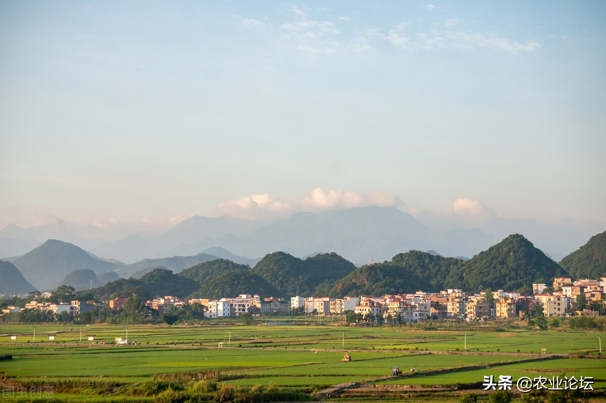 永州市零陵区2022年种植粮食有哪些补贴？补贴标准是多少？