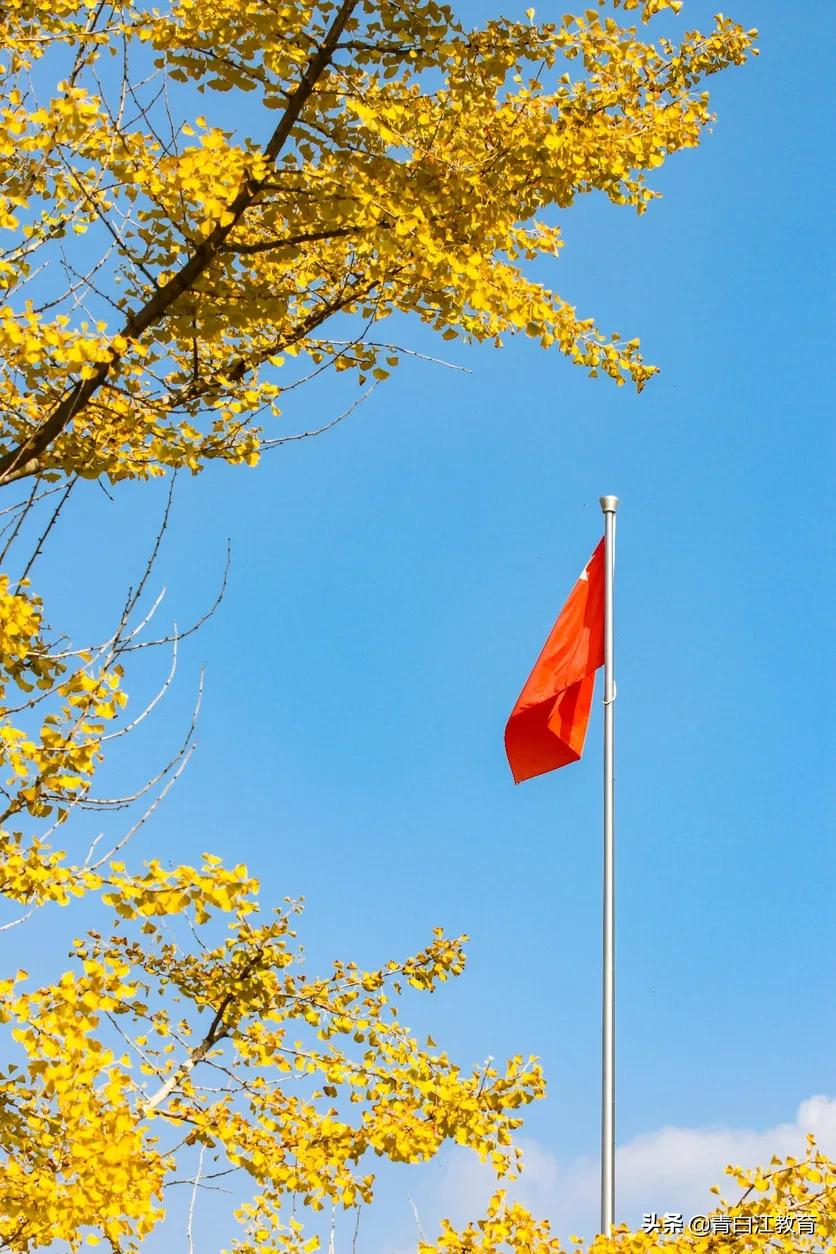 秋冬美图来袭① | 为你喜欢的校园美景投票吧