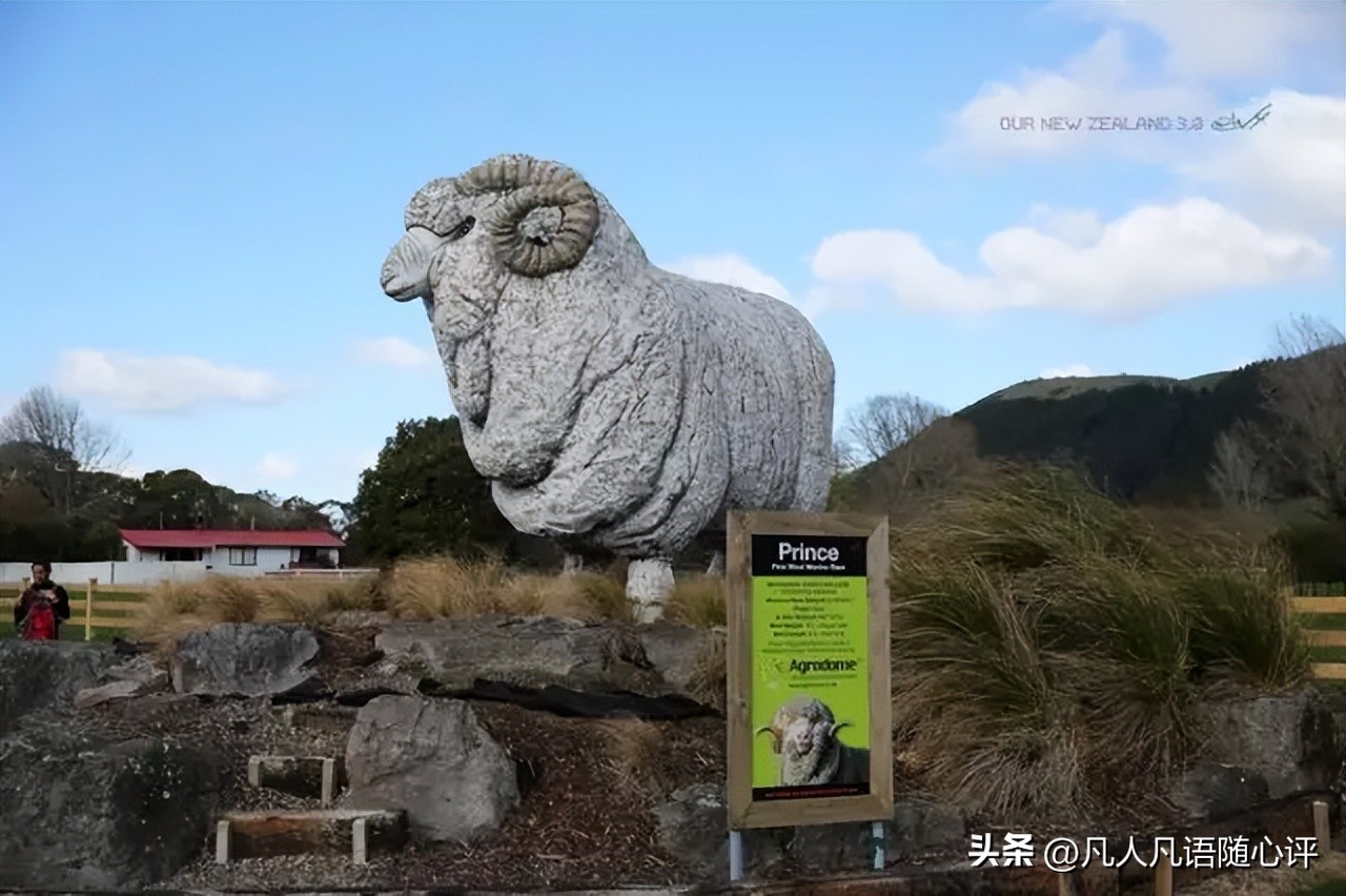 新西兰牧场图片（在新西兰体验田园牧歌的悠闲生活）