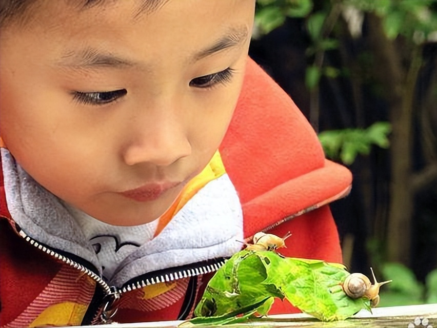 孩子写作文老大难？老师推荐3个好方法，让孩子思如泉涌