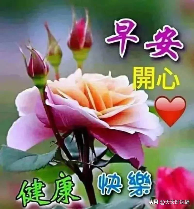 4月3日创意好看的春天早安图片带祝福语 唯美早安问候图片文字精选