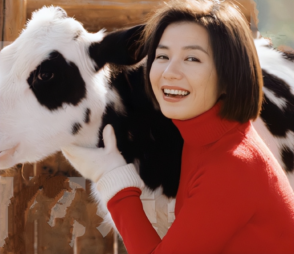 63岁钟楚红:婉拒成龙,林子祥,下嫁才子16年,无儿无女活出自我-蘑菇号