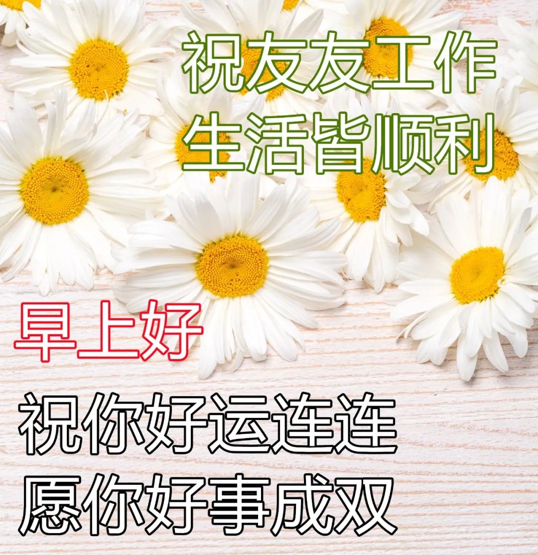 2022.04.24早安心语，唯美正能量经典句子，美好的一天开始了