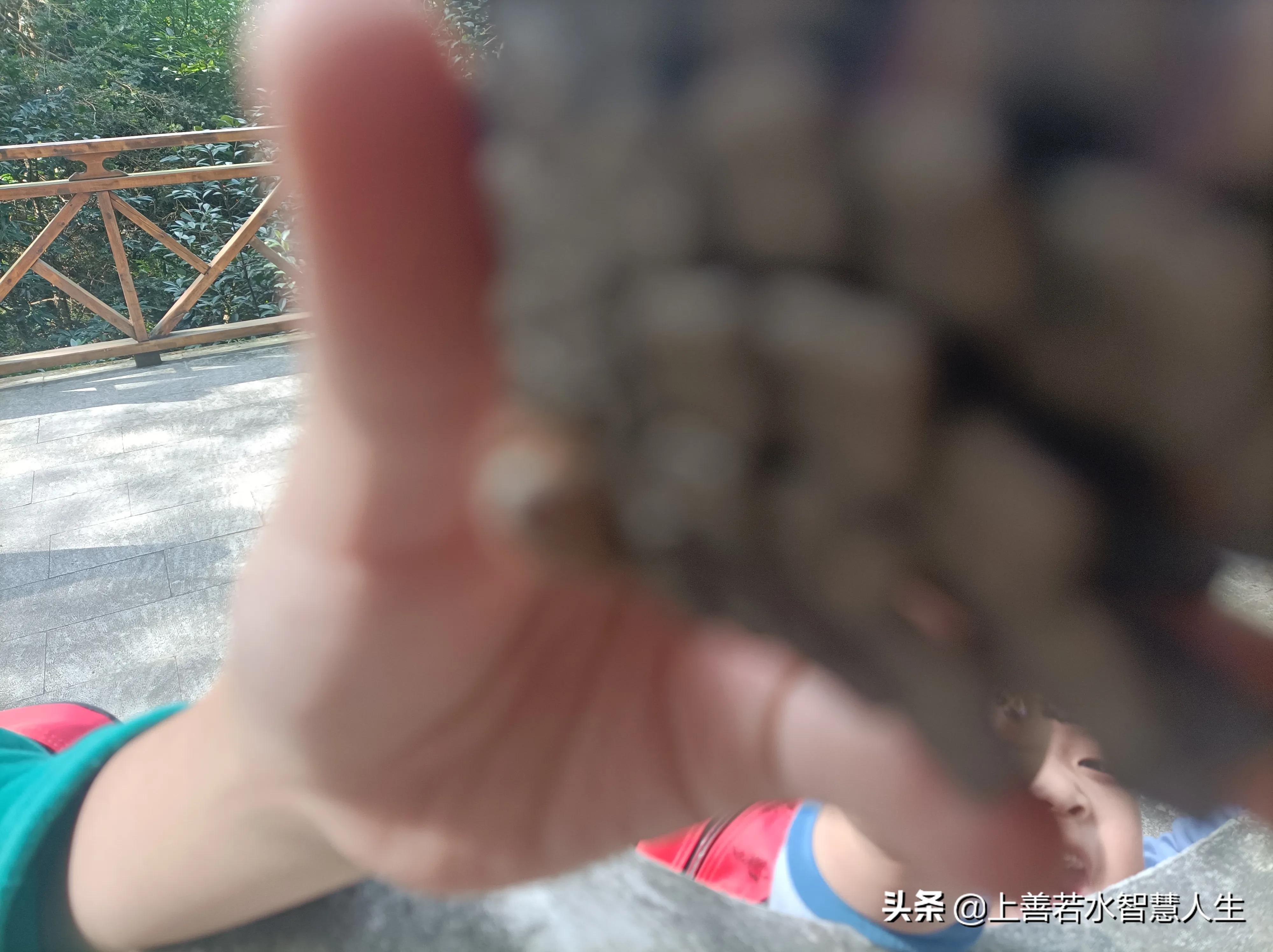 亲子户外徒步10公里线路：亲近自然，拥抱阳光赋予的能量