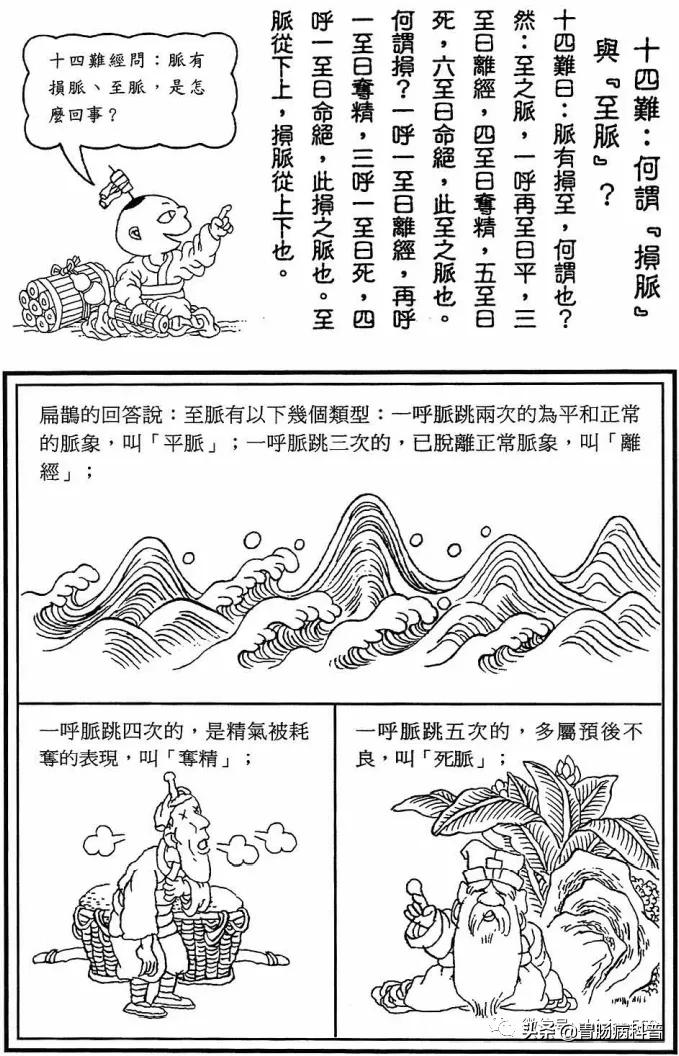 《漫画版八十一难经》第十四难：何谓"损脉"与"至脉"？