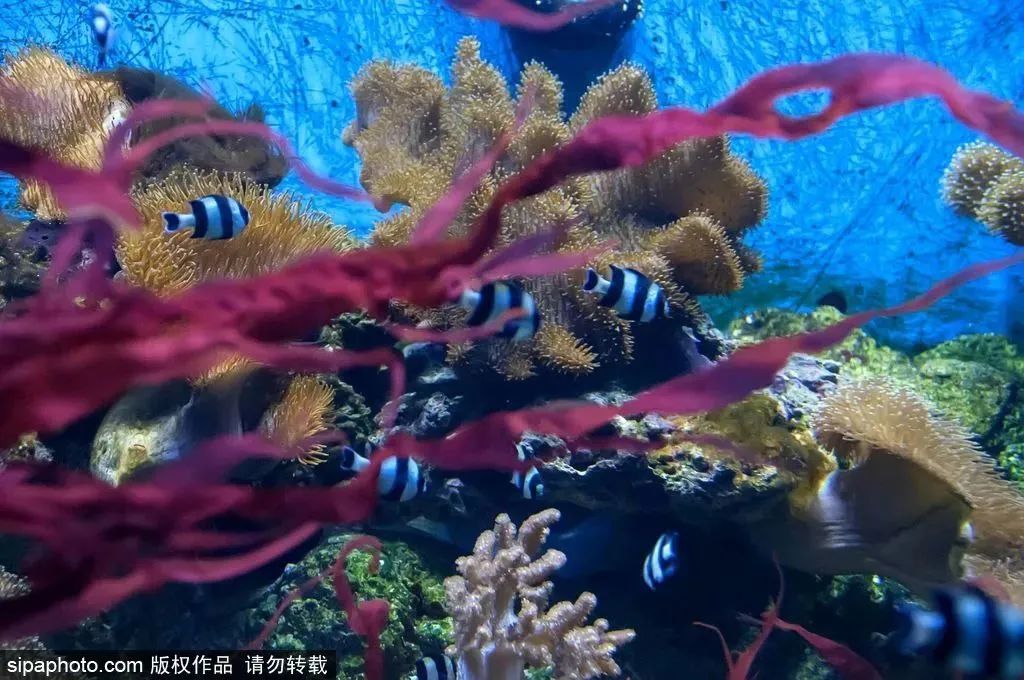 天津有什么好玩的地方（周末去哪 - 早春漫游津沽，去這些景點邂逅不一樣的天津）