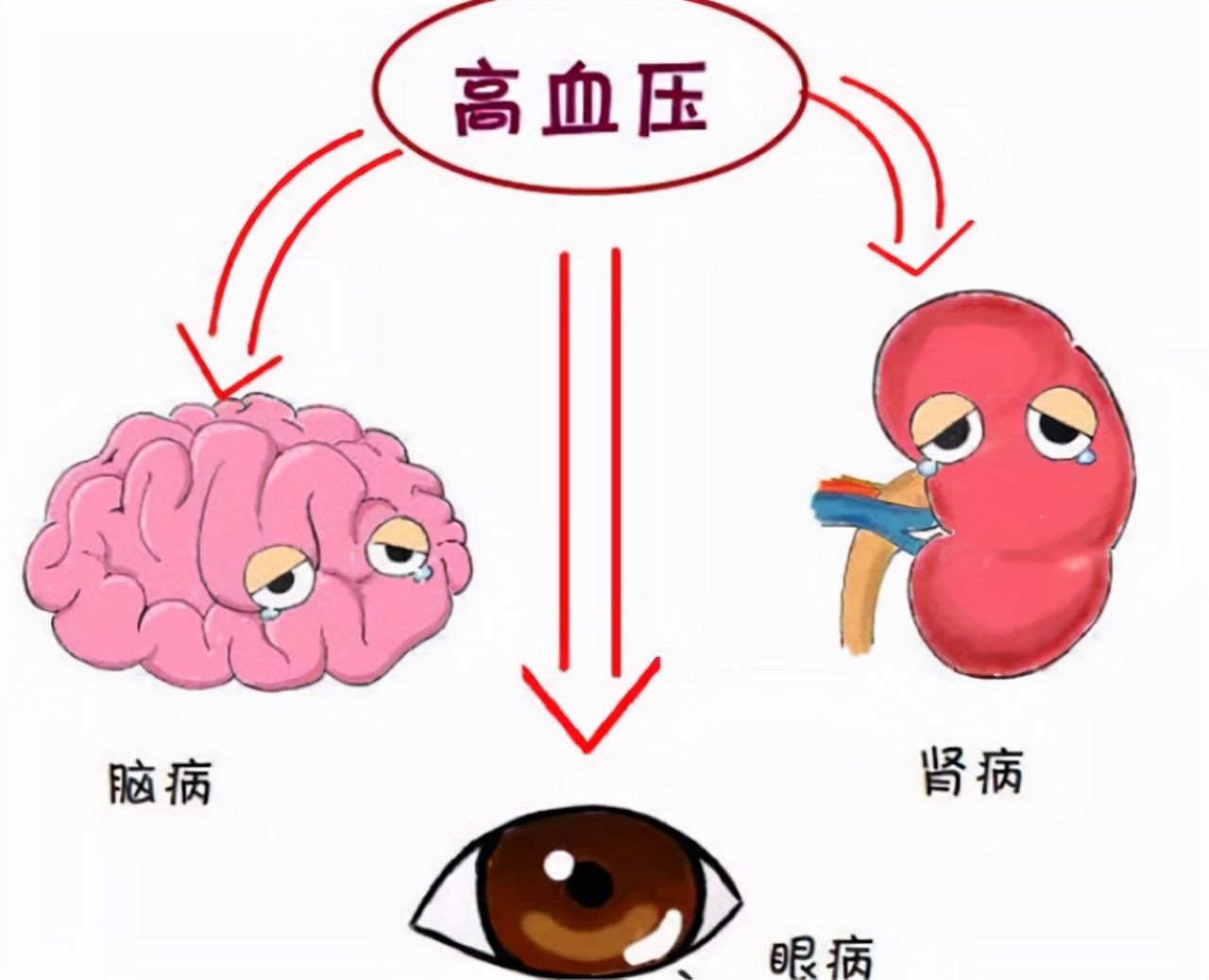 血压新标准已公布,不再是120/80,而是这个范围,尽早自测下