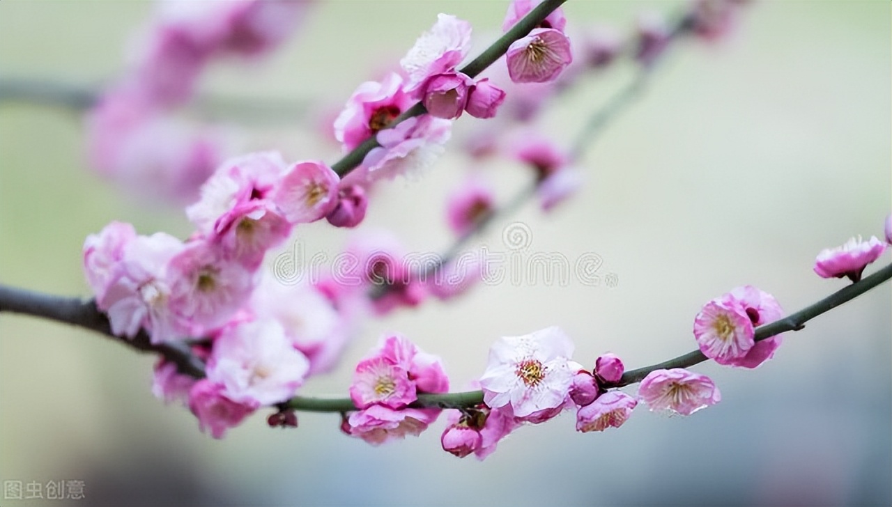 带有清风的唯美诗句，温柔拂面，治愈你烦躁的情绪