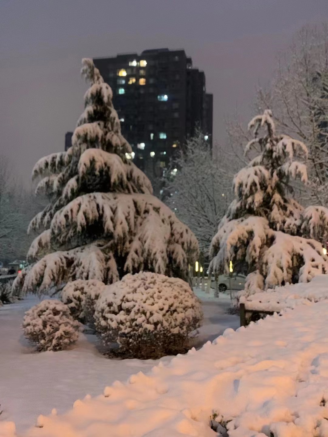专属于春雪的浪漫，当三月的北京遇见飘雪，有种转瞬即逝的美