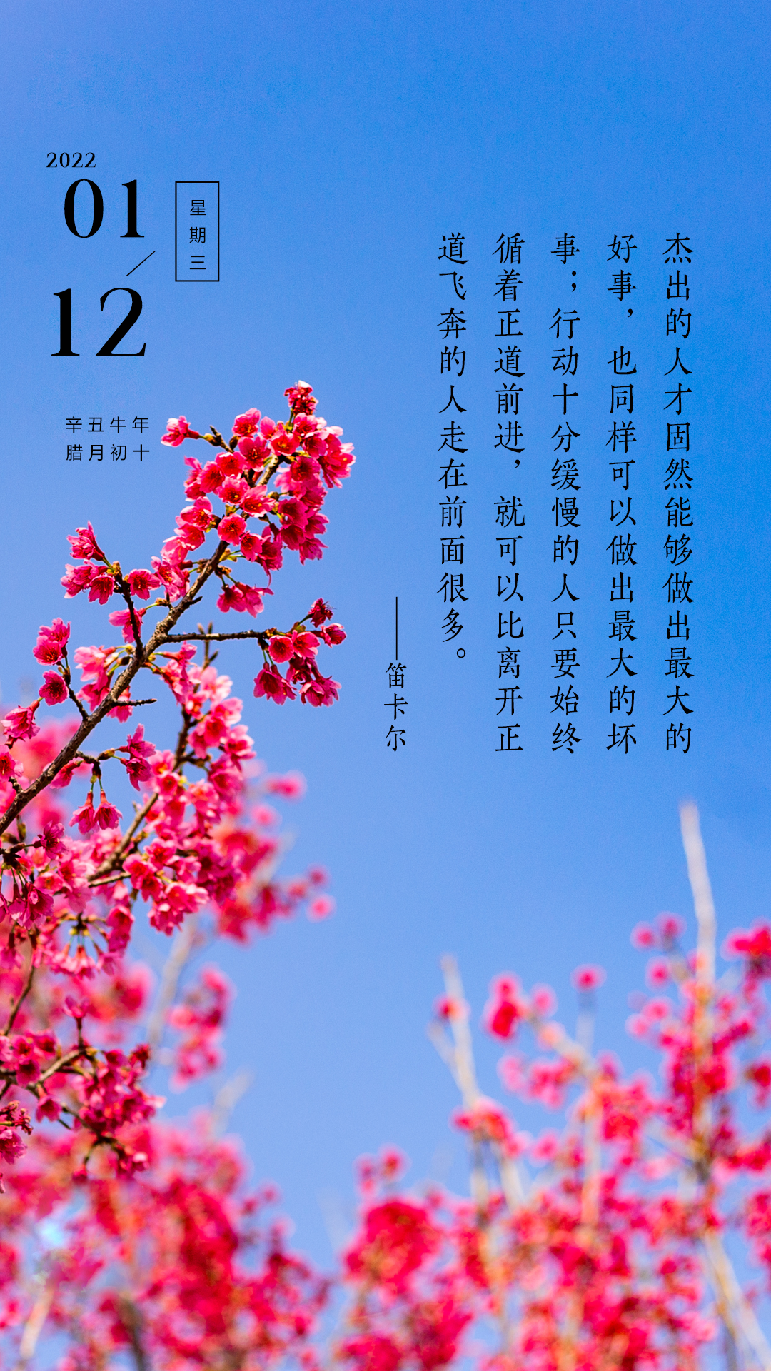 正能量朋友圈早安文案带图片,播种希望,才能收获未来