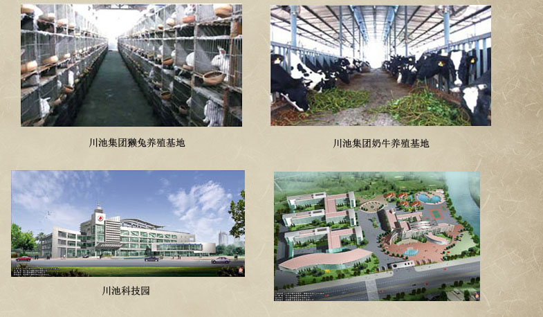 从原酒基地到酒庄集群，邛酒未来可期