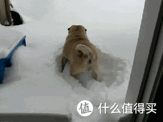 装修时的坑含着泪也要自己填-家装填坑神器推荐