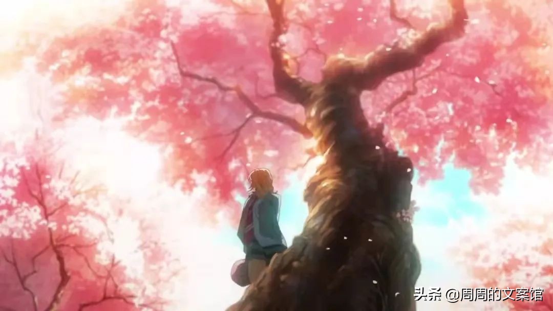 关于父母的泪目文案