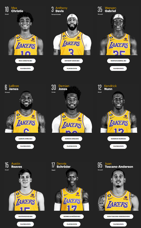 湖人2020年阵容名单(湖人17人大名单正式出炉!