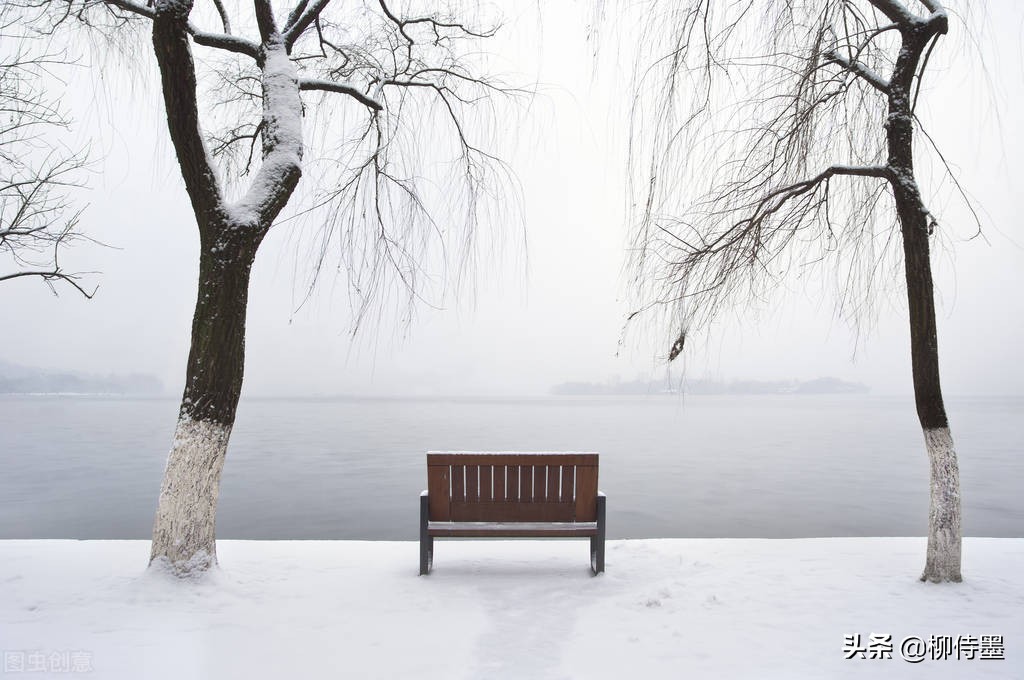 提升雪景照片的“高级”感，5个摄影技巧，让照片更有意境