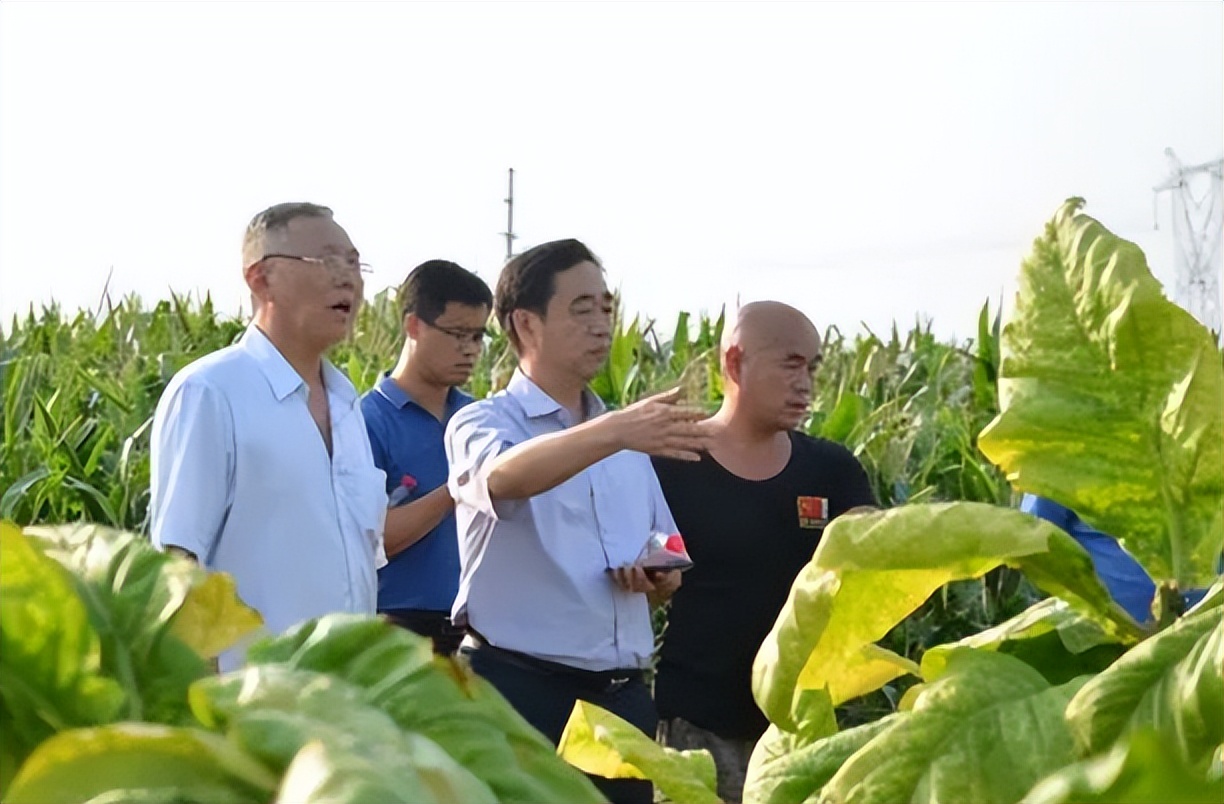 4所高校的校名朴实无华，却深受中国烟草青睐，毕业后薪酬也可观