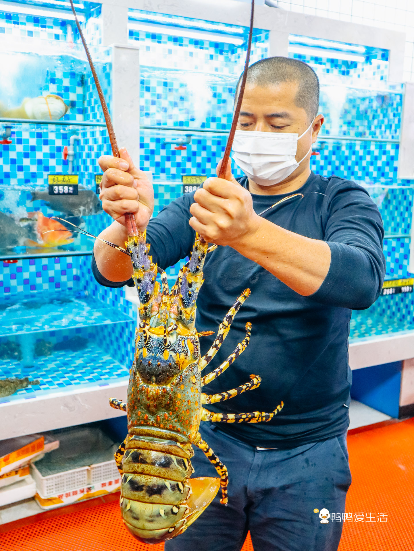 厦门这家本地人都爱的大排档，来了还想来，不多见的海鲜都能吃上