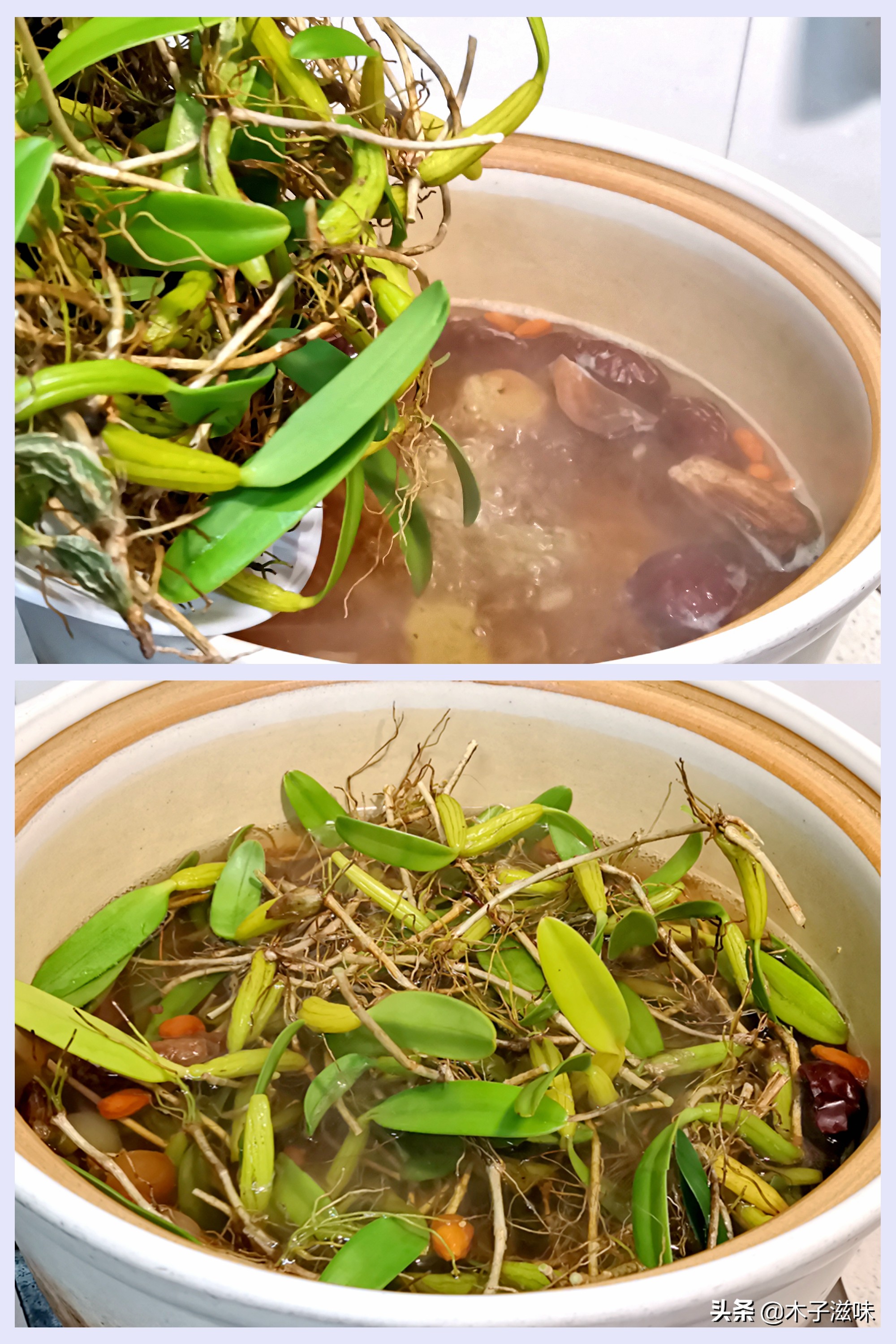 石橄榄鸡汤,甘甜鲜美,清热润肺