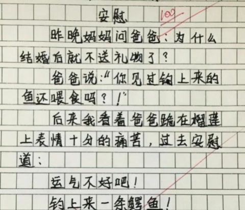 《我的小姨》一片小学生作文
