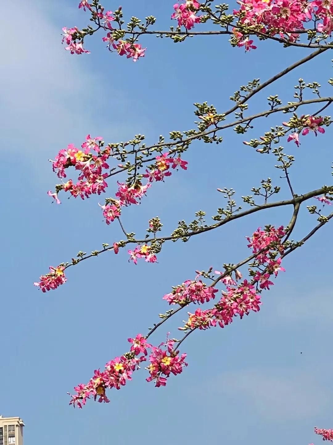 阴天，思绪飘至窗外……