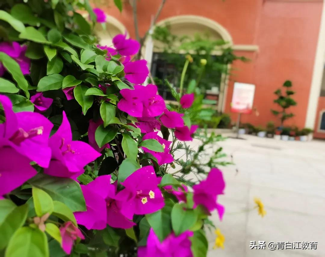 秋冬美图来袭① | 为你喜欢的校园美景投票吧