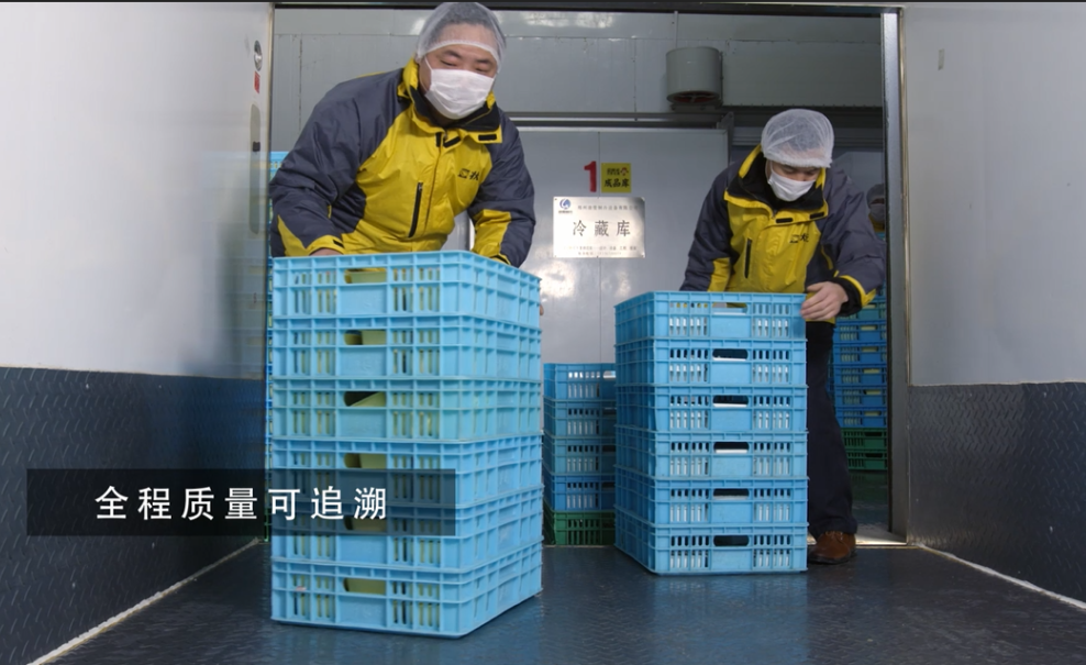 早餐这样做，快速、简单、方便、营养还健康