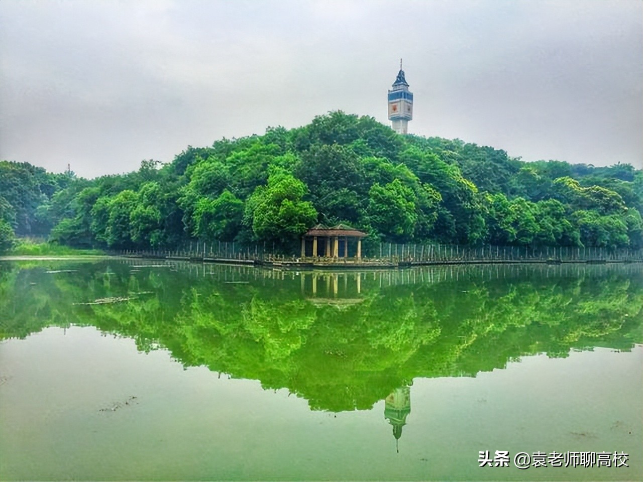 南京工业大学与浙江工业大学，两所省重点大学，谁是双非工业第一