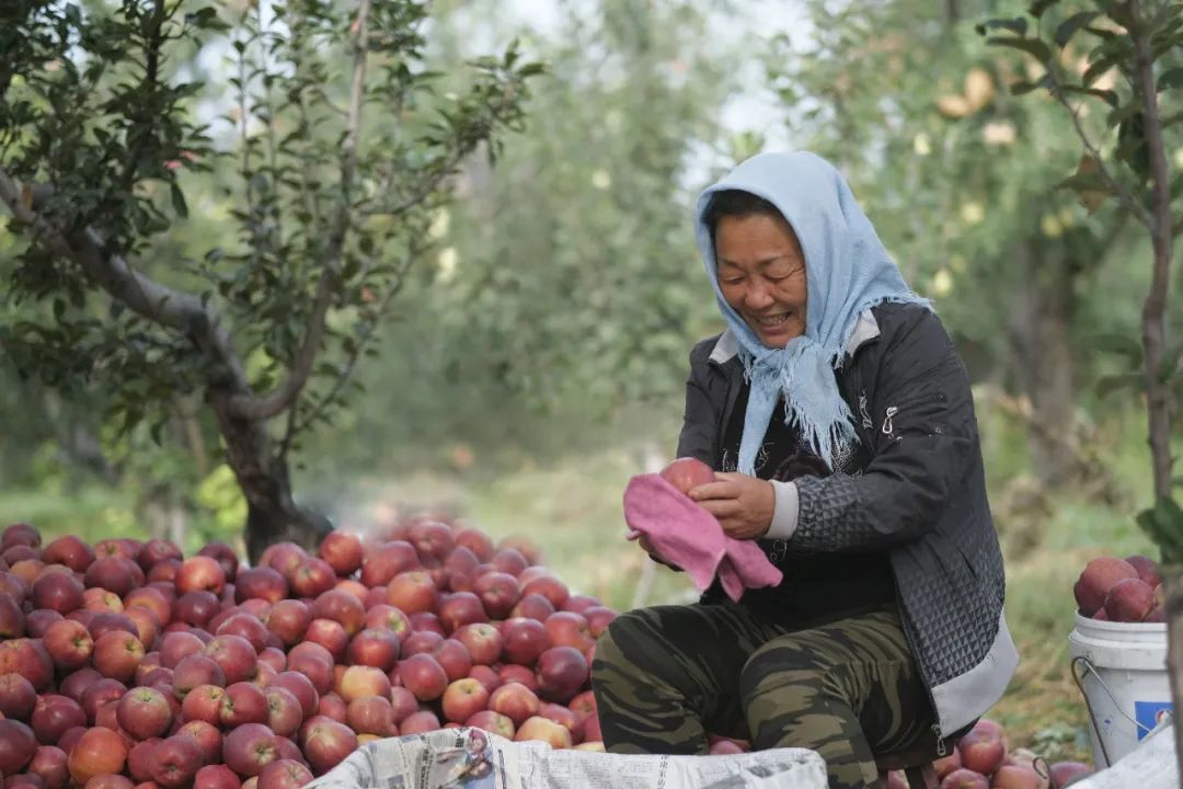 线上展览|“劳动最光荣”主题摄影作品线上图片展（七）