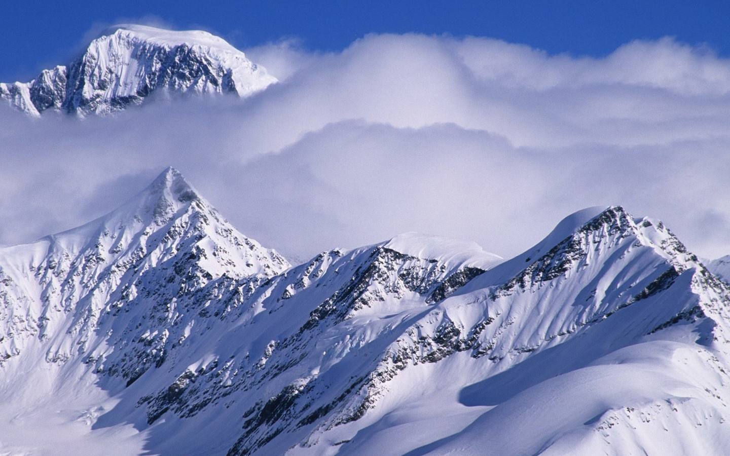 当冰遇上雪，便是最美的邂逅！古诗词里的“冰雪”刚柔结合美极了