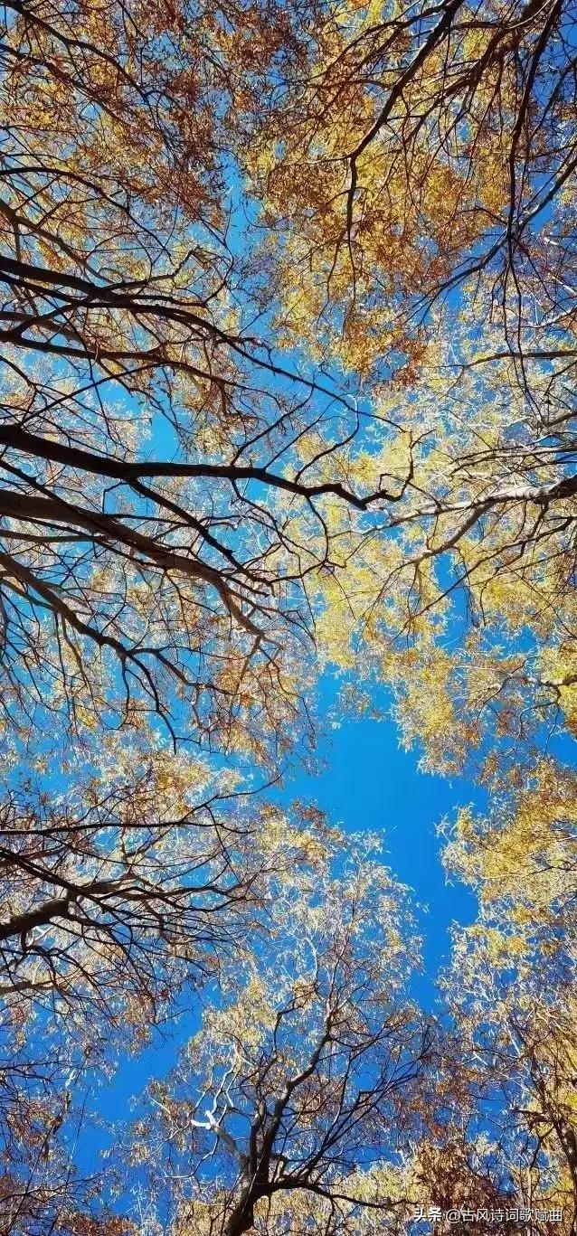 100句唯美而又温暖人心的句子，简短文艺，直抵心灵