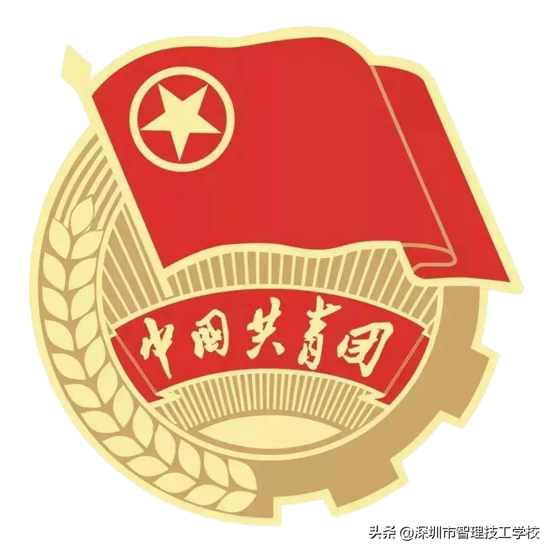 深圳市智理技工学校为团史添光彩｜优秀手抄报作品展