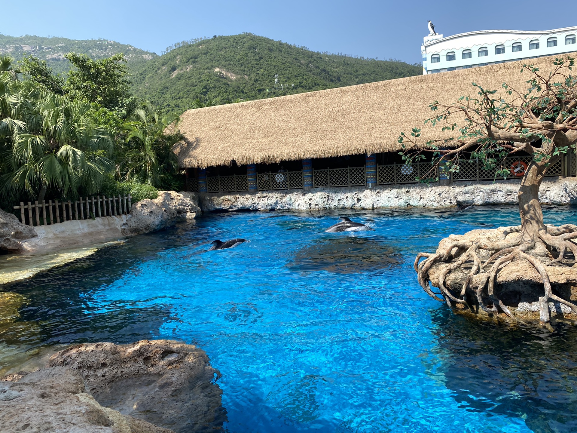 烧机油不大修，沉浸式慢游珠海，顺带修复烧机油
