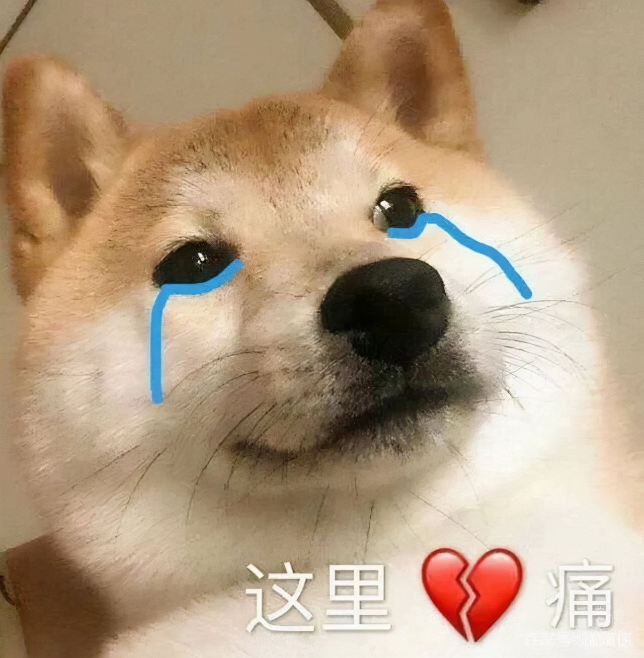 比利时足球队为什么世界第一（没想到啊没想到，比利时男足竟是这样的世界第一）