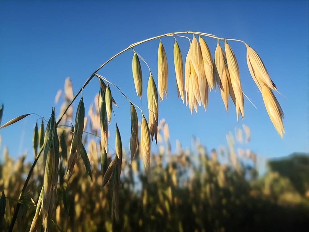 国内、国际最新科技动态 2022.7.19 星期二