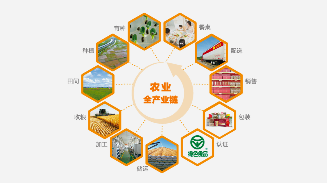 农业进入数字时代:农业产业互联网的探索与实践