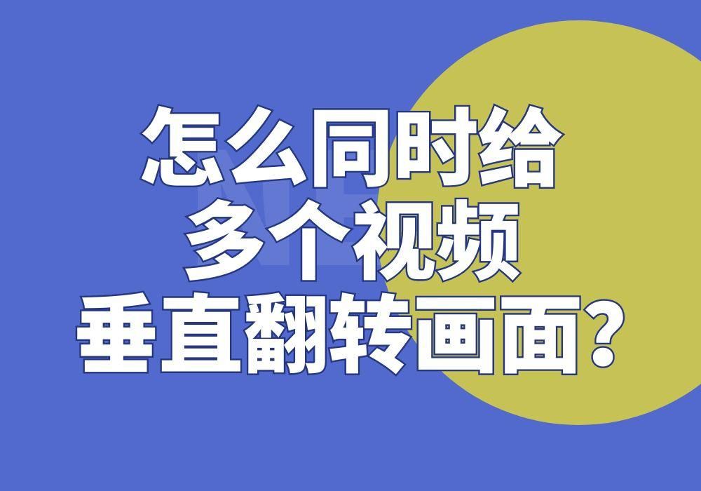 画面垂直翻转的效果要怎么同时给多个视频文件一键添加？