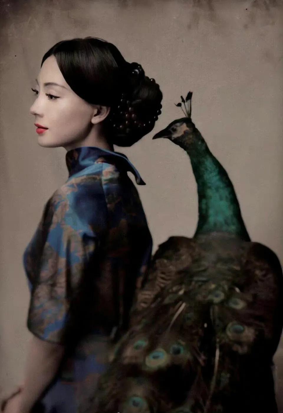 "旗袍皇后"陈数——岁月从不败美人