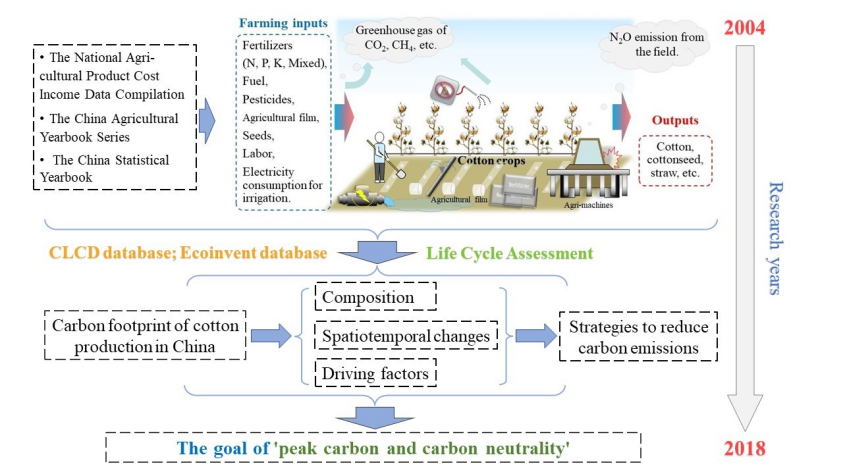 农业温室气体占我国总量24%！河南科学家为棉花“减碳”，引发国际关注！