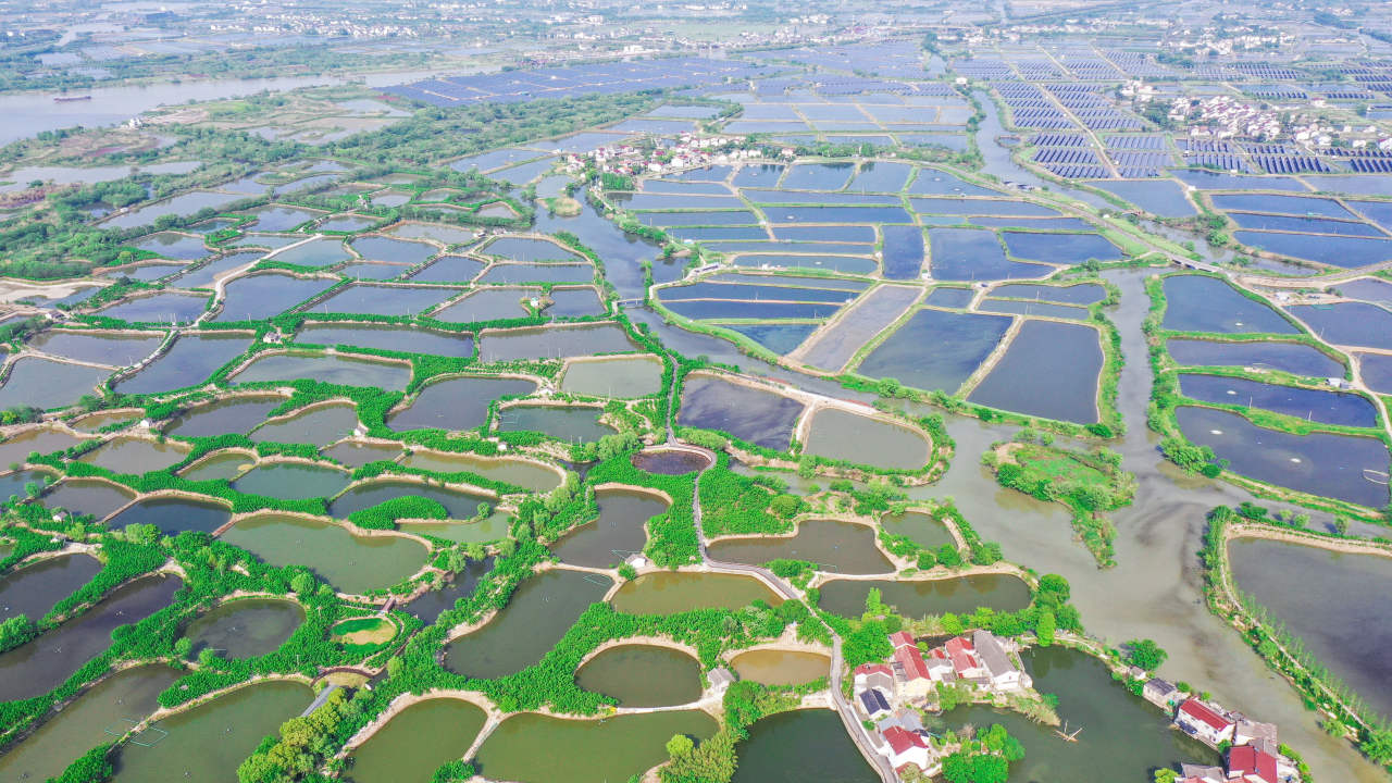 天蓝水清岸绿景美 绘就生态和谐画卷