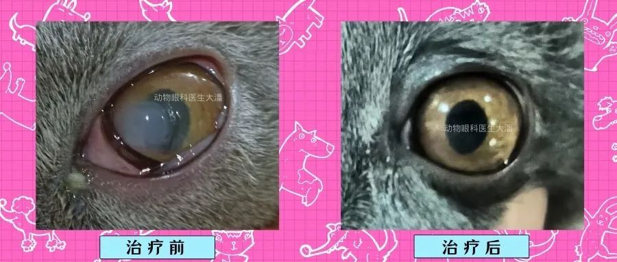 èmai۾׻èmai۾׻yuͼƬ-Ѷ