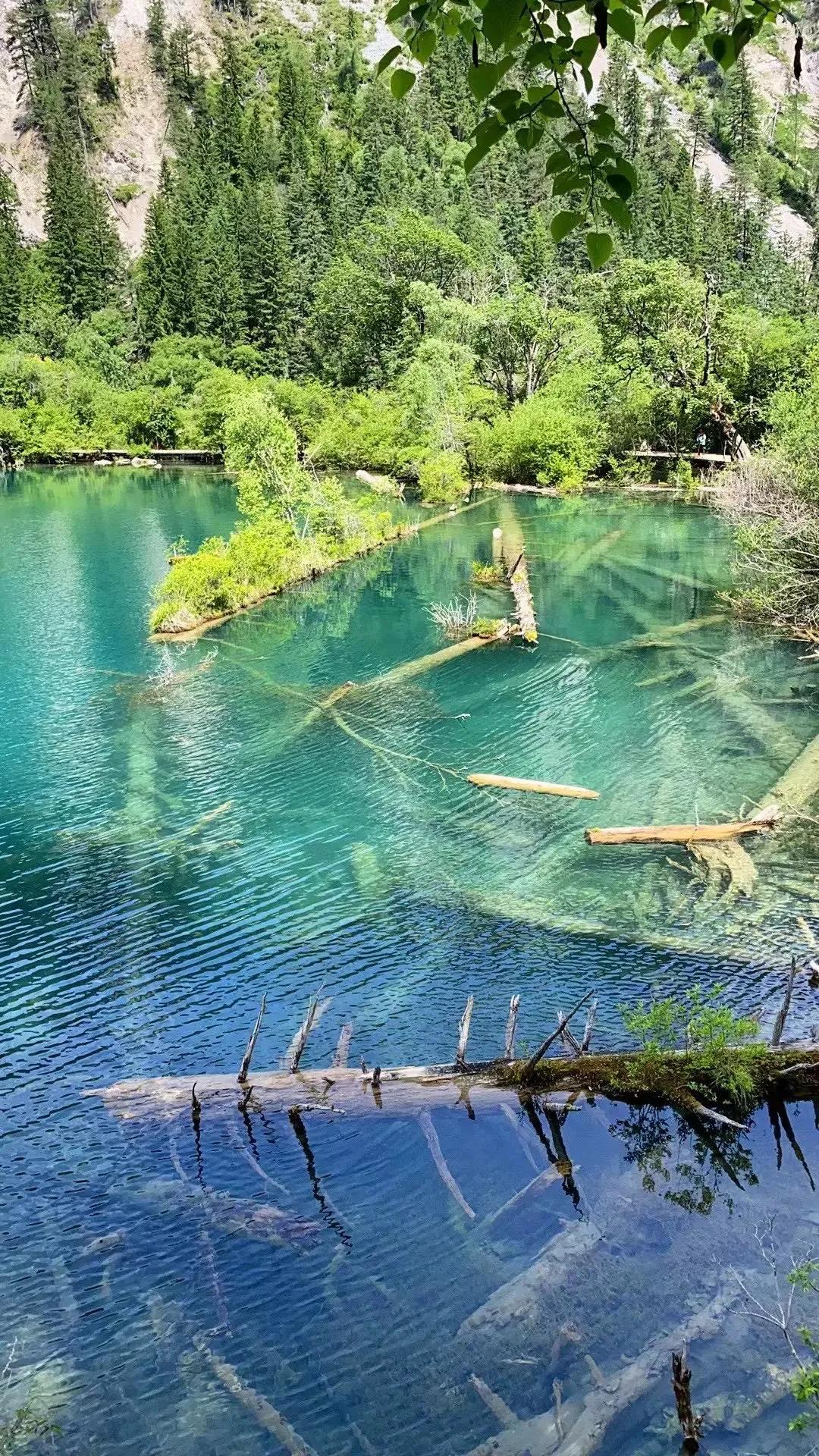 再次領教 九寨溝