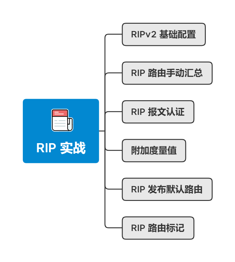 关于 RIP 的那些网络实验