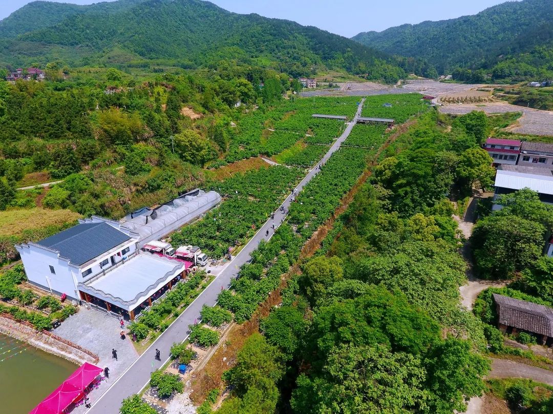 蕲春县漕河镇 湖北省蕲春县漕河镇-思宇生活