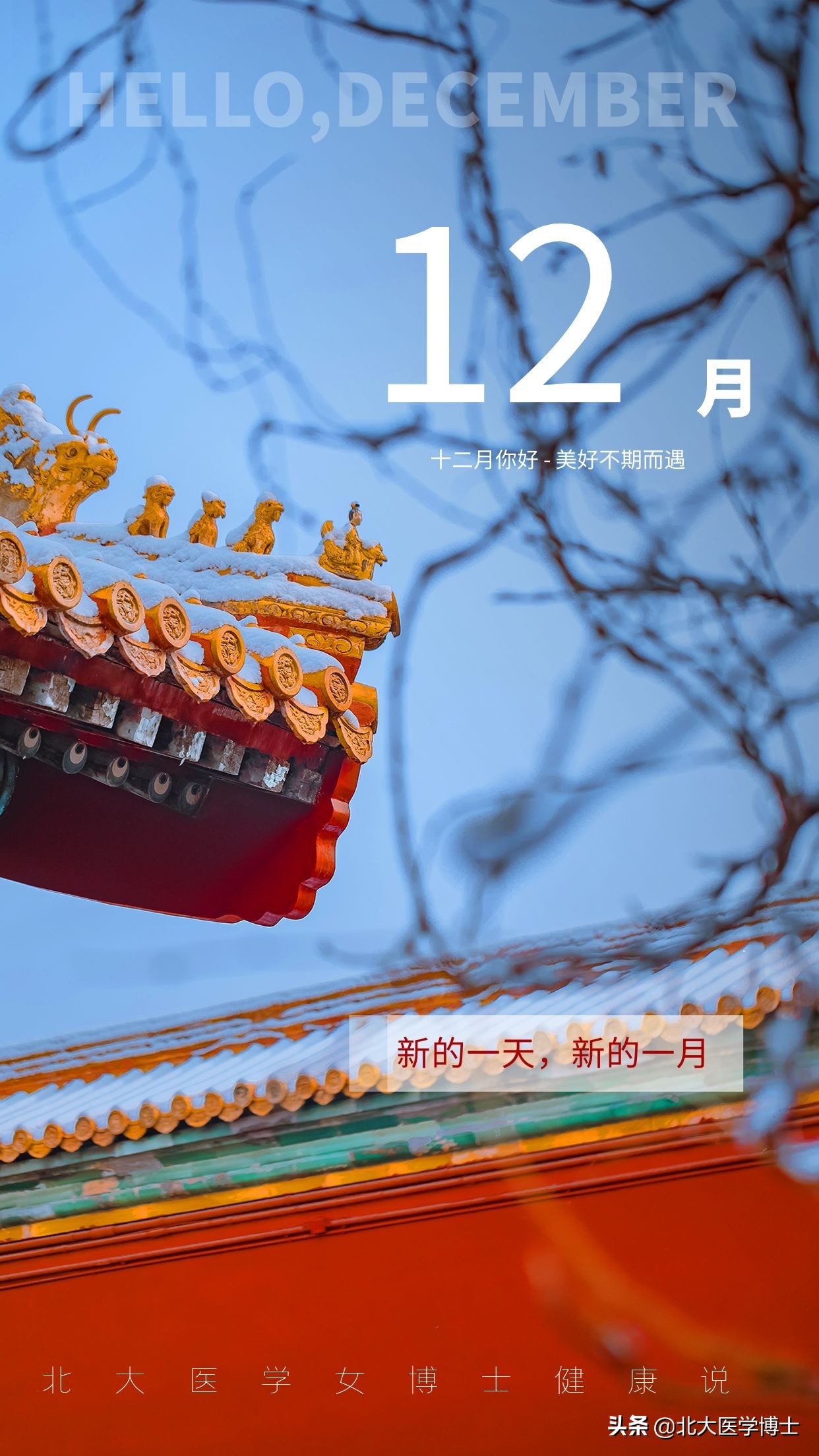 平时常喝这1饮2茶1粥，适合湿热痹阻型痛风不吃药预防痛风发作