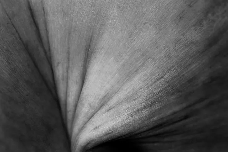 去美国学摄影，有什么好学校（本科）