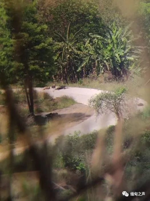 �������������ش�����ʮ����������������������ս����δͣϢ