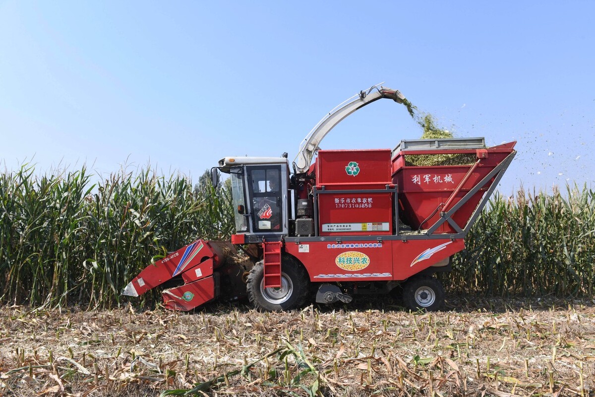 4行穗茎兼收玉米收获机,河北英虎vs金大丰,热销机型配置对比