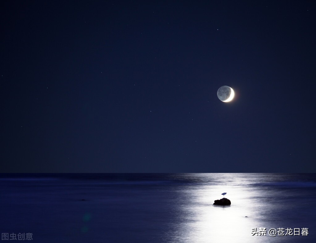 春日限定：绿意盎然，花开满园，踏青赏景正当时！