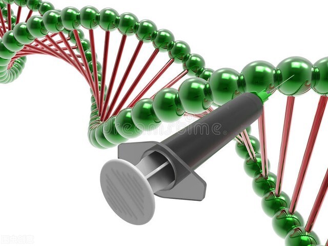 人为干预生物遗传的基因工程