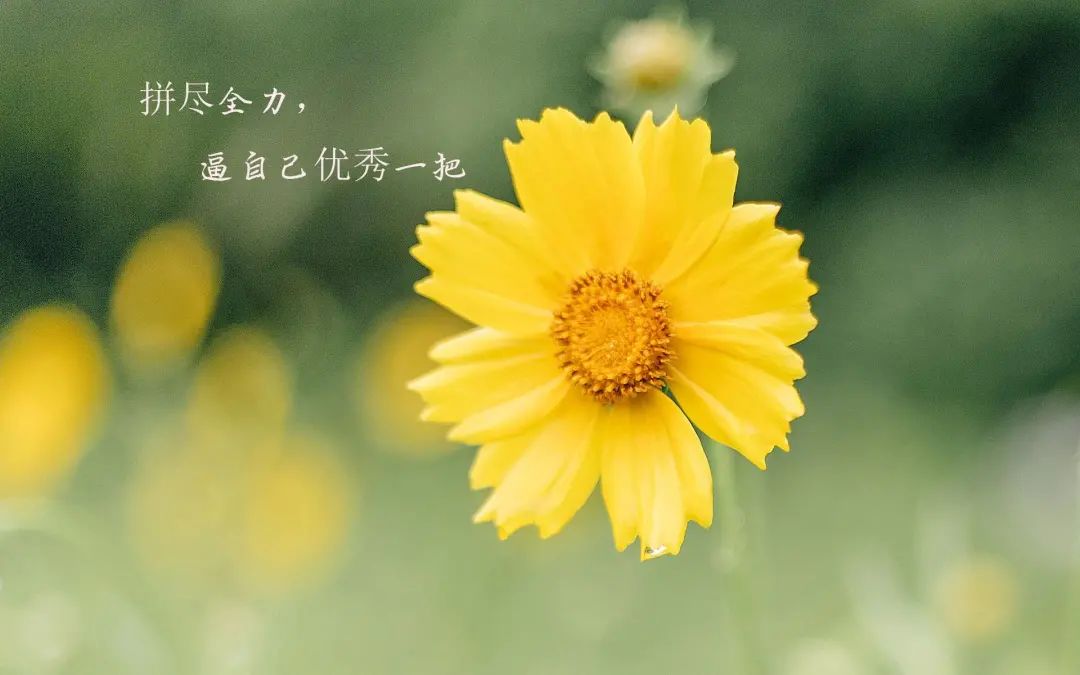 03.18」早安心语,正能量问候语短句子,唯美早安励志图文